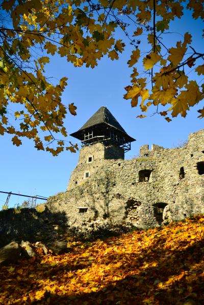 Башня-донжон Невицкого замка осенью